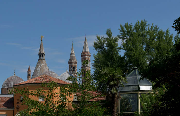 Orto Botanico di Padova giardino botanico universitario