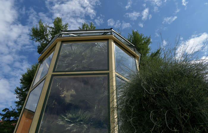 Orto Botanico di Padova giardino botanico universitario