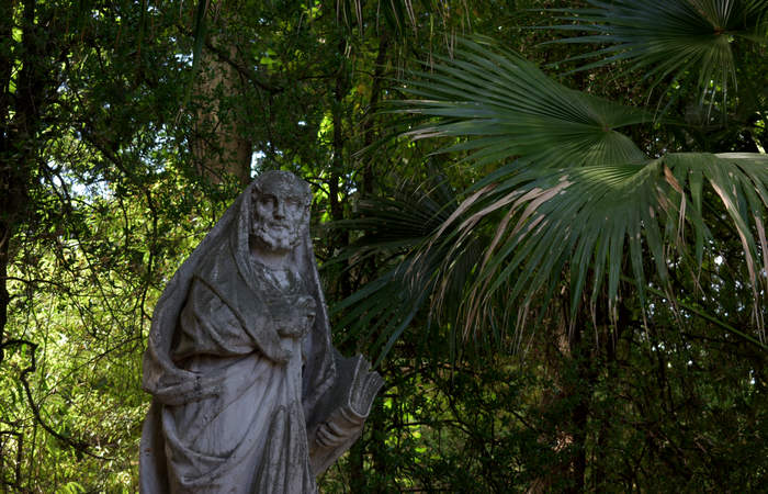 Orto Botanico di Padova giardino botanico universitario