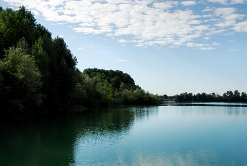 area naturalistica del Brenta a Piazzola sul Brenta