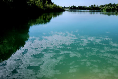 area naturalistica del Brenta a Piazzola sul Brenta