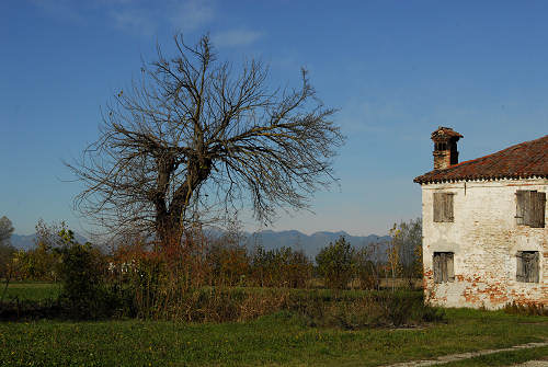 Piazzola sul Brenta, fiume Brenta, Presina
