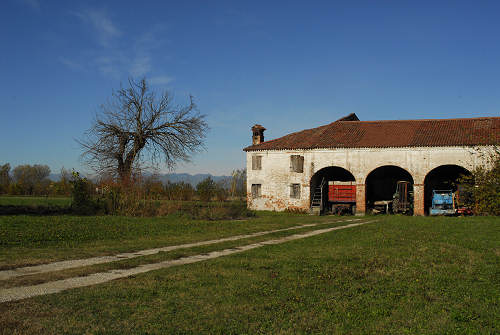 Piazzola sul Brenta, fiume Brenta, Presina