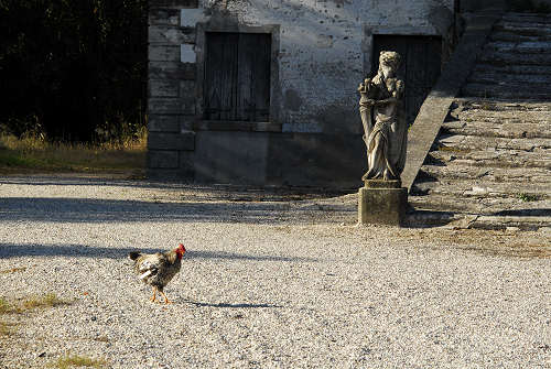 Piazzola sul Brenta, fiume Brenta, Presina