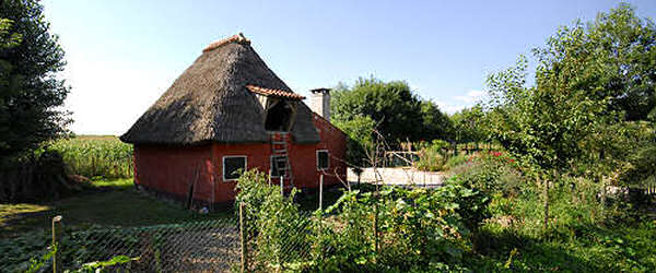 Piove di Sacco, Piovese Saccisica