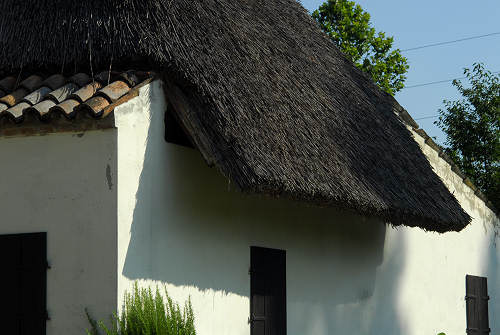 casoni in Saccisica - Casone di via Ramei a Piove di Sacco