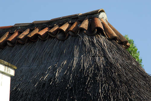 casoni in Saccisica - Casone di via Ramei a Piove di Sacco
