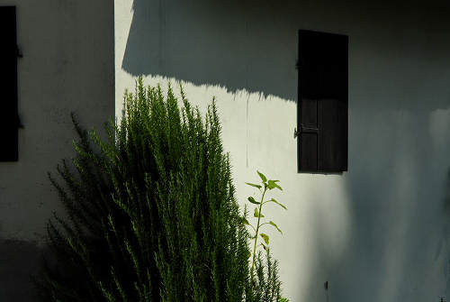 casoni in Saccisica - Casone di via Ramei a Piove di Sacco