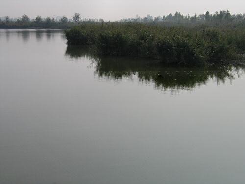 Codevigo, oasi naturalistica di Ca' di Mezzo lungo il fiume Bacchiglione