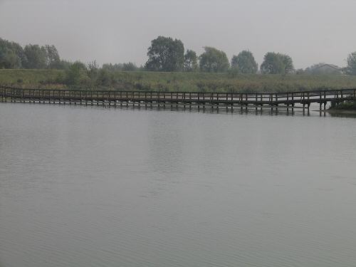 Codevigo, oasi naturalistica di Ca' di Mezzo lungo il fiume Bacchiglione