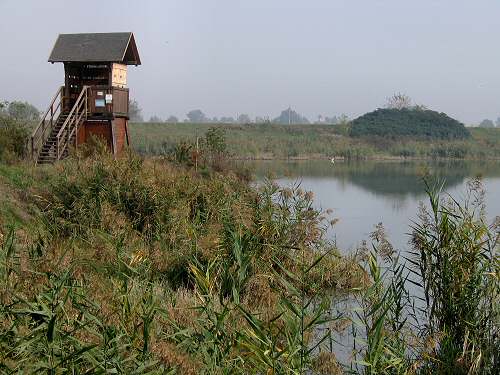 Codevigo, oasi naturalistica di Ca' di Mezzo lungo il fiume Bacchiglione