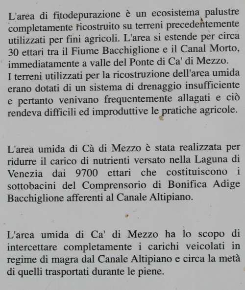 Codevigo, oasi naturalistica di Ca' di Mezzo lungo il fiume Bacchiglione