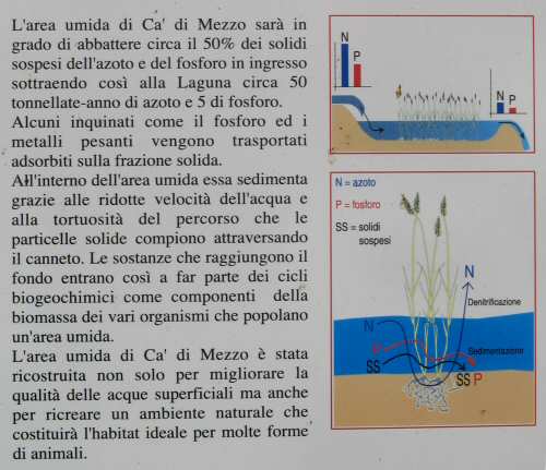 Codevigo, oasi naturalistica di Ca' di Mezzo lungo il fiume Bacchiglione