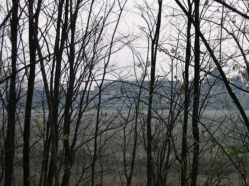 Certosa di Vigodarzere