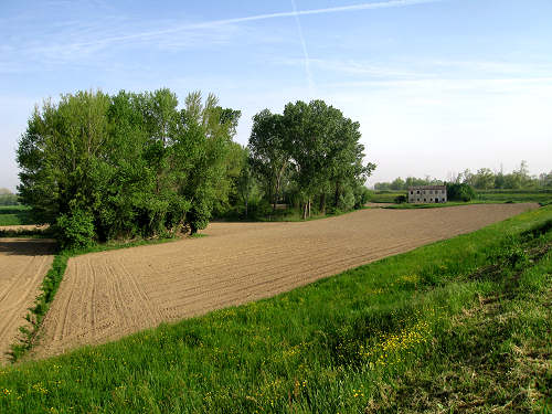 argine Roncajette del fiume Bacchiglione - da Padova a Bovolenta