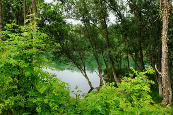 city bike Palazzina, Tessara, Tavo, Torre di Burri, Cocche