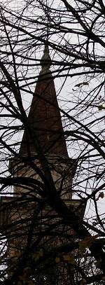 San Giorgio in Bosco