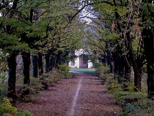 Certosa di Vigodarzere