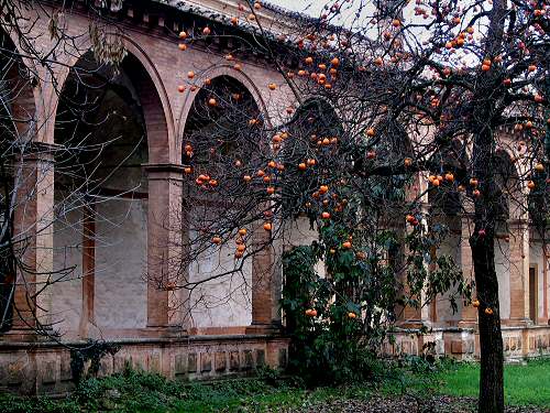 Certosa di Vigodarzere