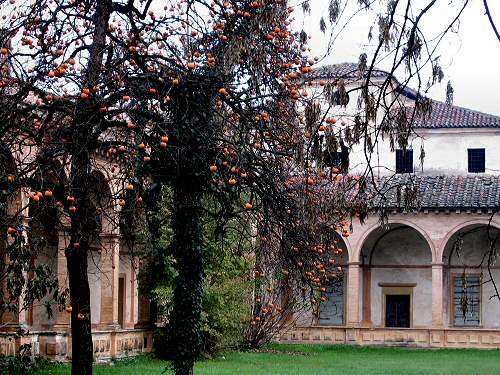 Certosa di Vigodarzere