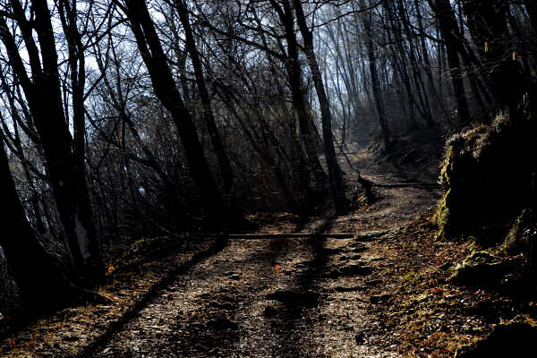 Piovene Rocchette, Sentiero Gerolimini al monte Summano