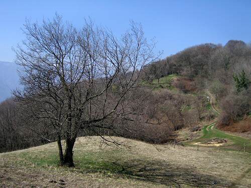 Zovo Scandolara Colombo Civillina - Schio Valdagno