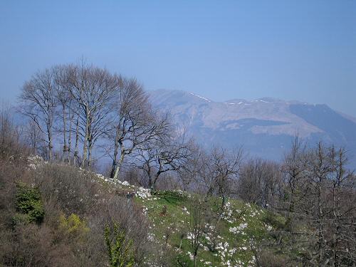 Zovo Scandolara Colombo Civillina - Schio Valdagno