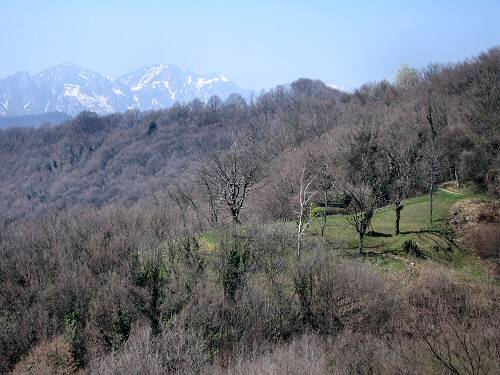 Zovo Scandolara Colombo Civillina - Schio Valdagno