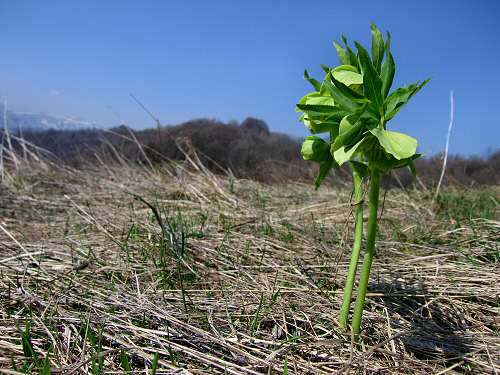 Zovo Scandolara Colombo Civillina - Schio Valdagno