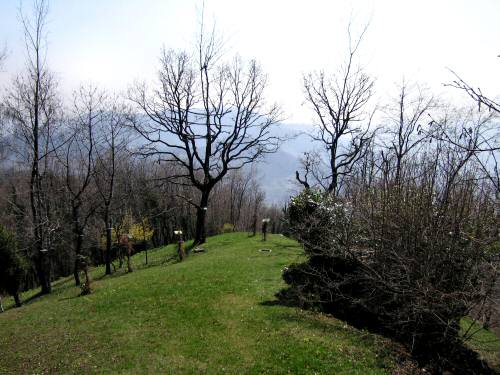 Zovo Scandolara Colombo Civillina - Schio Valdagno