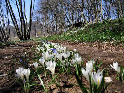 Zovo Scandolara Colombo Civillina - Schio Valdagno