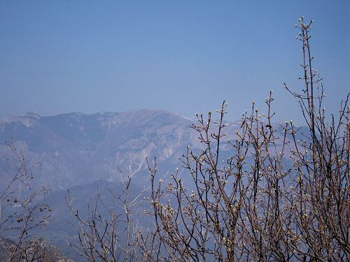 Zovo Scandolara Colombo Civillina - Schio Valdagno