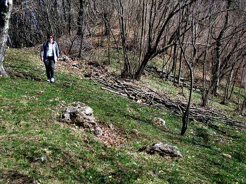 Zovo Scandolara Colombo Civillina - Schio Valdagno