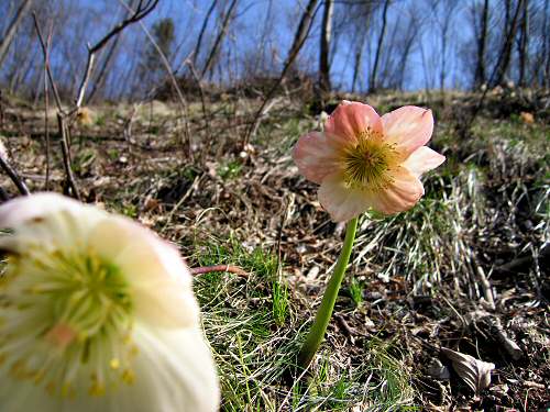 Passo Zovo di Novale - Valdagno