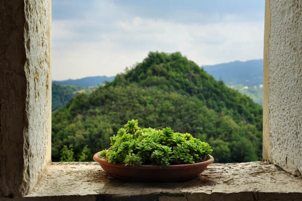 Santuario di Santa Maria in Panisacco, Maglio di Sopra, Valdagno