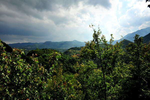 Santuario di Santa Maria in Panisacco, Maglio di Sopra, Valdagno