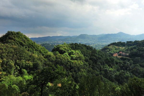 Santuario di Santa Maria in Panisacco, Maglio di Sopra, Valdagno
