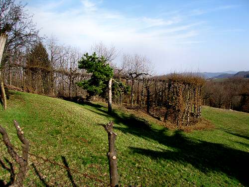 sentiero roccoli Mucion Zovo Novale Valdagno