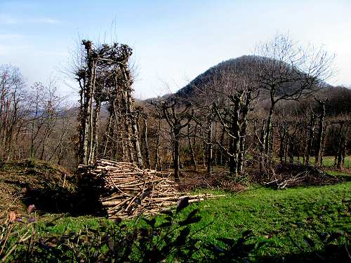sentiero roccoli Mucion Zovo Novale Valdagno