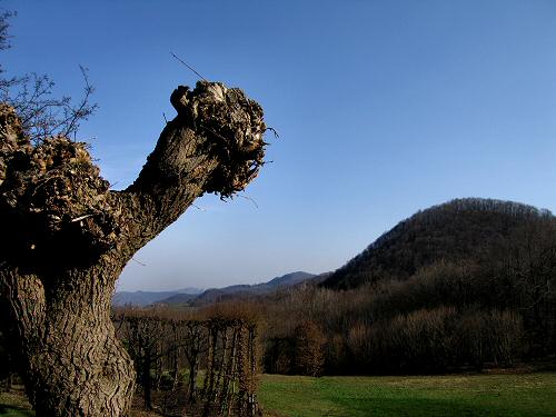 sentiero roccoli Mucion Zovo Novale Valdagno