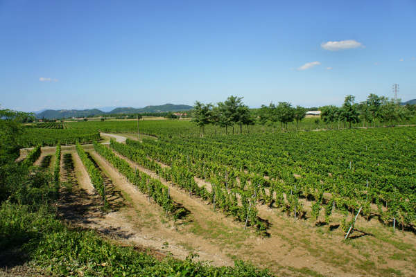 pista ciclabile Agno-Chiampo