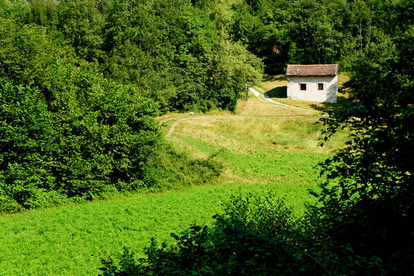 Cornedo, Cereda, Faedo, Monte di Malo, Mucion, Muzzolon