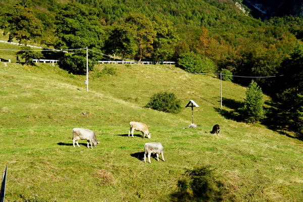 salita al rifugio Papa al Pasubio, strada Scarubbi strada Eroi