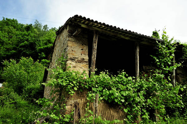 passeggiata tra le contrade di Recoaro e Santa Giuliana