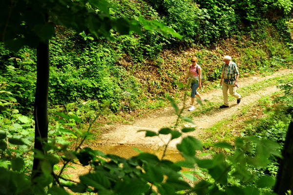 passeggiata tra le contrade di Recoaro e Santa Giuliana