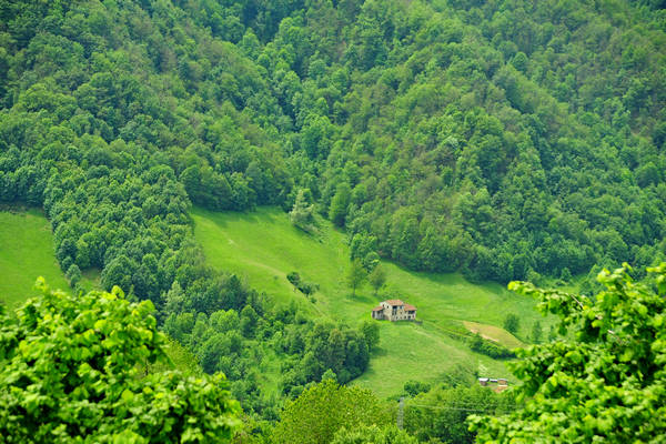 passeggiata tra le contrade di Recoaro e Santa Giuliana