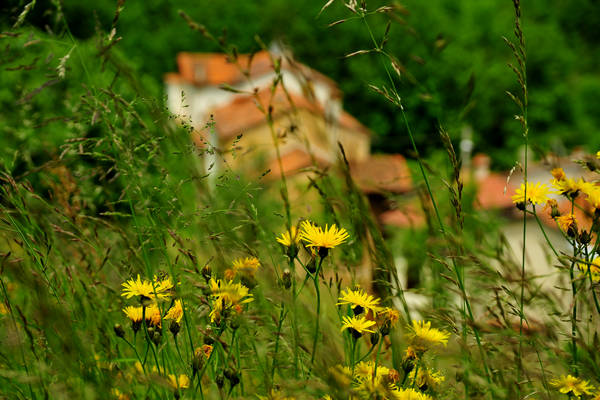 passeggiata tra le contrade di Recoaro e Santa Giuliana