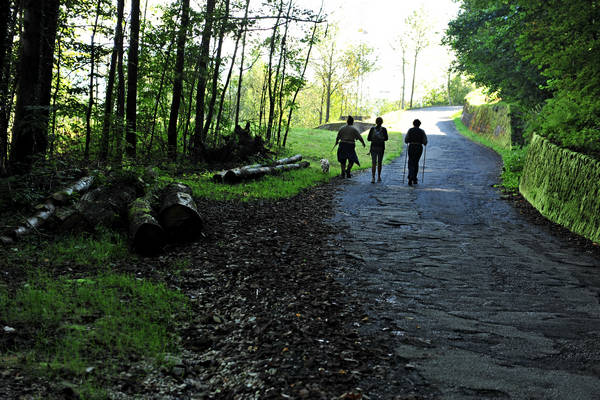 passeggiata contrade di Recoaro Peserico monte Spitz