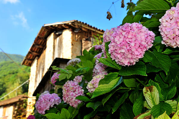 passeggiata contrade di Recoaro Peserico monte Spitz