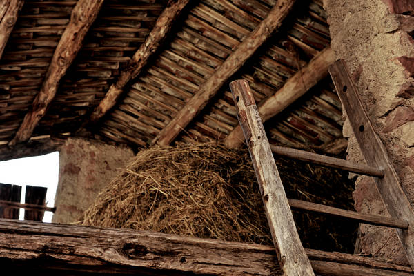 passeggiata contrade di Recoaro Peserico monte Spitz